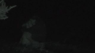 free adult clip 14 Galician Night 120 | public sex | voyeur -4