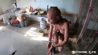 Morning With Greyhound - 07.29.19 Sex Clip Video Porn Dow...-0