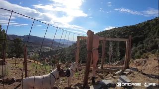 Morning With Greyhound - 07.29.19 Sex Clip Video Porn Dow...-5