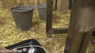 Cobie – more udder expansion*-7