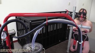xxx video clip 38 HuCow 38 - Red cow milker - bdsm - bdsm porn anal bdsm porn videos-8