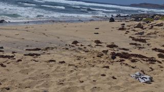 Fille Qui Bronze Seins Nus Se Fait Baiser À La Plage Sur Le Sable, Naem-9