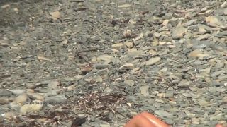 Nudist video 01325-9