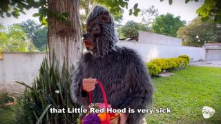 Little Red Little Red Riding Hood lost a fruit from her basket and is looking for it in the wolfs pants.-3