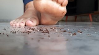 Giantess Hajar - Ants Crush By Hajar -  (FullHD 2024) New Porn-8