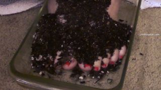 adult video 48 Lush Botanist – Jack Off To My Dirty Garden Feet - big ass - big tits porn big natural tits compilation-3