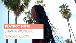 Shasta Wonder - Garden Glow-9