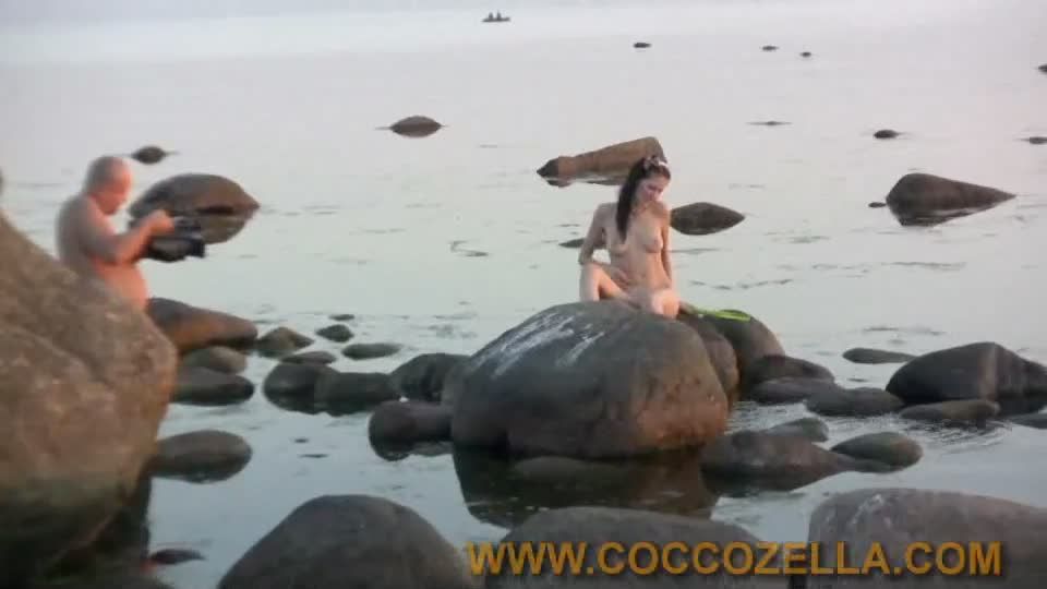 Coccozella-SiteRIP 0489-igor-milsta-8
