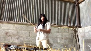Black Porn Mistress Black 69 – Let Me Punish You In The Straw Barn-5