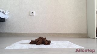 adult video 13 Markovna - Poop during menstruation  | during | solo female -9