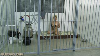 Online Fetish video Hucows – Dolly – Caged HuCow-0