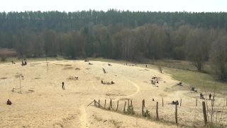 Performance_20_-_Grunewald-0