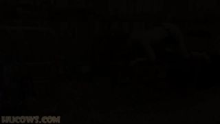 xxx video 1 bbw femdom strapon fetish porn | Hucows – Lady Lyne – fucked and sucked | hucows-9