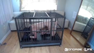 free adult clip 48 bdsm face strapon bdsm porn | Bondage Life – Playful Cage Time – 7/2/2021 | fetish-4