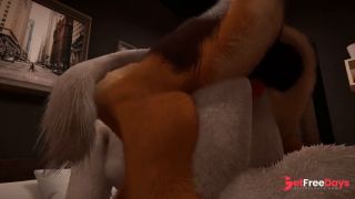 Midnight Paws and Purrs Wild Life-3