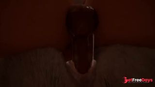 Midnight Paws and Purrs Wild Life-9