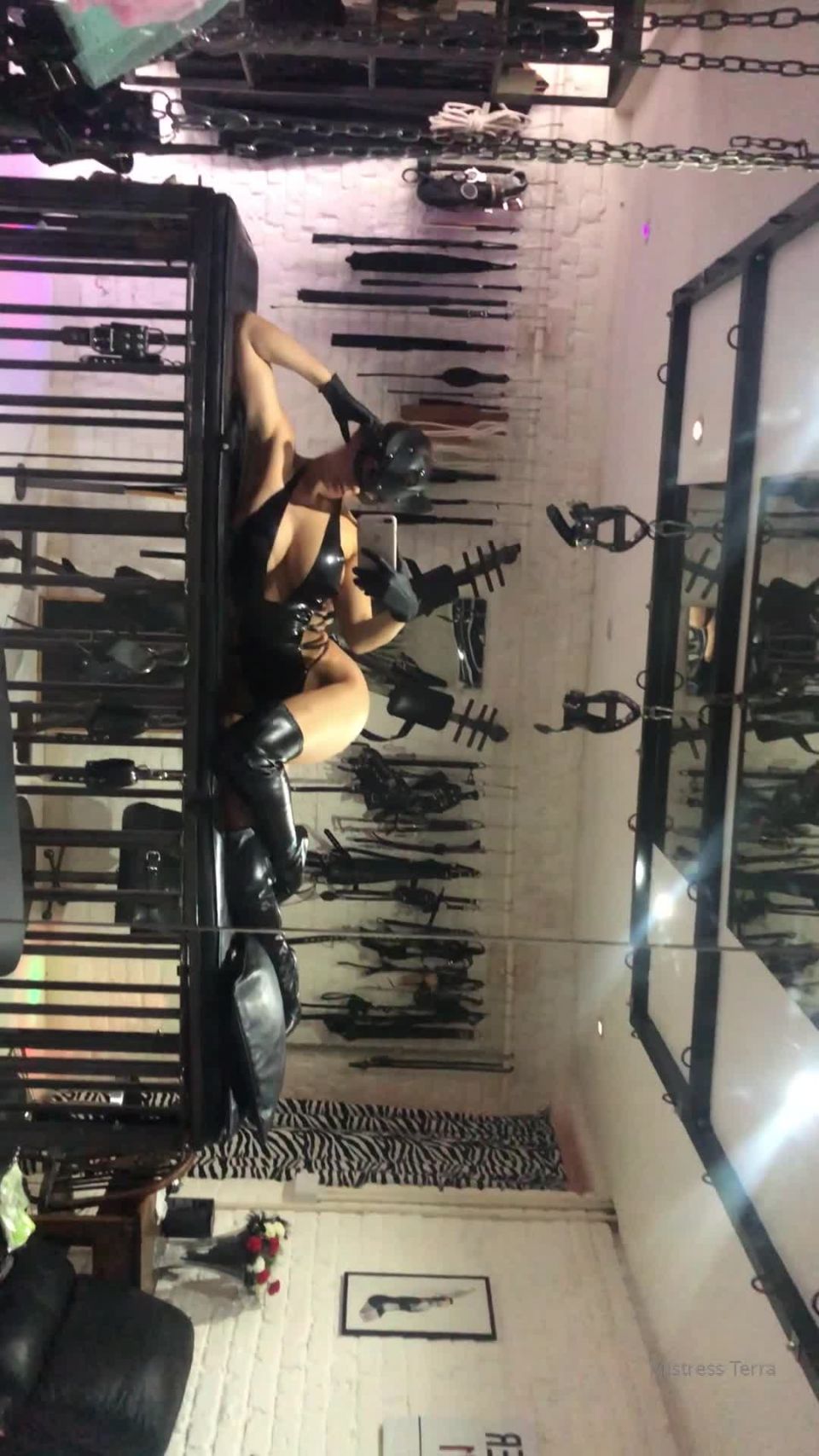 Mistress Terra - obeymistressterra () Obeymistressterra - ever been dominated by cat woman 05-11-2019