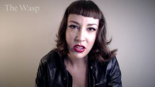 adult video 8 The Wasp - You are Not Straight - bi humiliation - femdom porn krissy lynn femdom-4