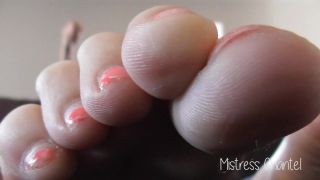 adult video clip 27 mandy dee femdom feet porn | Mistress Chantel - Foot Boys Obey | jerk off-7