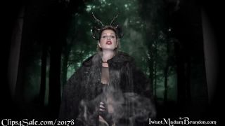 Madam Brandon - In A Dark, Dark Forest pantyhose -4