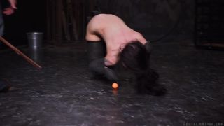 xxx clip 43 BrutalMaster – Dog Humiliated Animal | brutal master | fetish porn teen omegle pussy solo bdsm empire pink-2