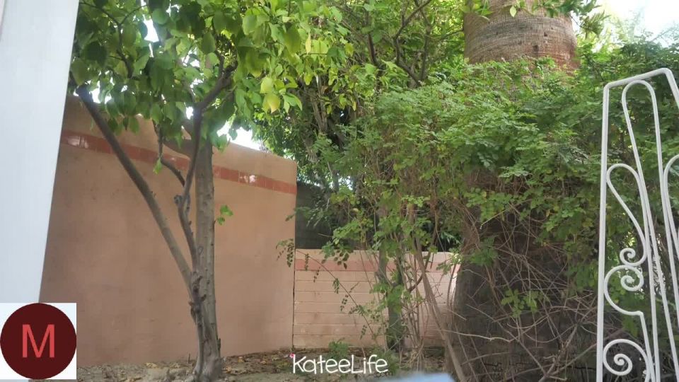 kateelife hot-summer-day - Hot Webcam Video, Girl Webcam Show