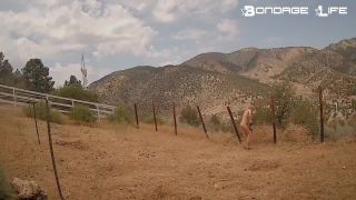 adult xxx video 47 machine bdsm milk tits Yard Wark - High Power Edition, torture on bdsm porn-6