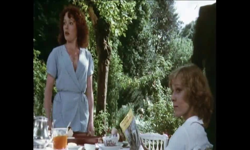 Les bijoux de famille (1975)(Vintage)