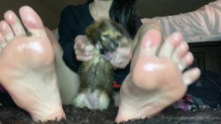free video 6 Watch Free Porno Online – waifufeetmilk 22092020938407398 tiny human views (MP4, FullHD, 1920×1080) | feet | feet porn feet fetish website-9