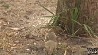 video 47 dirty panty fetish public | Sporty Hot Chick Naked and Masturbating in Public Around Tampa Florida | public-6
