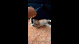 Mira - heyhorny () Heyhorny - cat therapy 22-09-2020-9