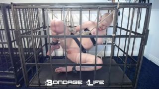 adult xxx clip 19 abella danger foot fetish Bondage Life – Cage Time With Greyhound (Rope Edition) – 11/22/2021, bondagelife on feet porn-3