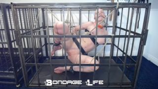 adult xxx clip 19 abella danger foot fetish Bondage Life – Cage Time With Greyhound (Rope Edition) – 11/22/2021, bondagelife on feet porn-5