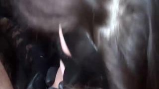 adult video 9 dirty amateur BiteTheAss.Com Best Adult Pron site, shemale on german porn-4