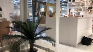 xxx video 14 IviRoses Exhibitionist Public Nudity – Risky IKEA anal dildo barefoot | dildo fuck | public femdom brat-4