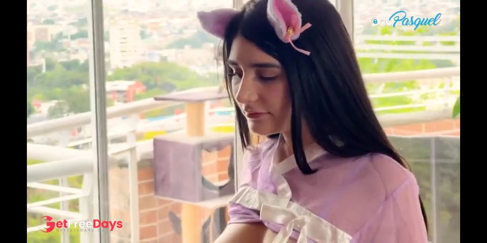Los Mejores Videos Del 2024  40grados
