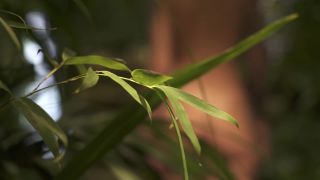 TEMPORARY_SHOP_NAKED_AFRAID_-_DMAX-2