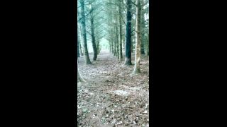Aurbeaureal41873613 video 2021-10-19 17-52-2