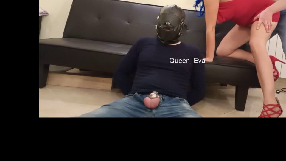 online porn video 6 gay porno bdsm couple Queen_Eva - CUCKOLD HUSBAND submissive and humiliated by wife cleans creampie pussy, bdsm on bdsm porn