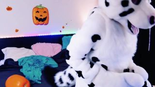 Dawn Willow Dawnwillow - furry stuff for fun 31-10-2018-0