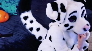Dawn Willow Dawnwillow - furry stuff for fun 31-10-2018-5