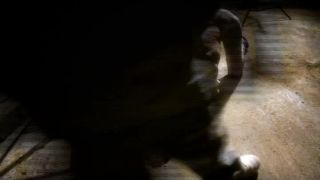 adult xxx video 19 PigFierceWhipping - bondage - femdom porn princess beverly femdom-8