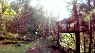 adult video 42 Cumming in the Forest in the Sunny Trees - solo masturbation - toys bbw pawg bbc-0