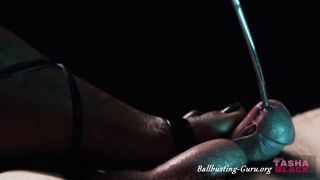 free online video 2 Tasha Black – Sounding Your Cock Slowly - joi video - pov fetish papa-7