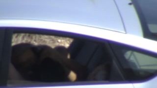 adult xxx video 20 Caught haveing sex in public - public sex - public -0
