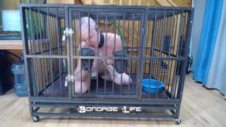 online xxx video 21 Bondage Life – Cage Time With Greyhound - bondagelife - fetish porn femdom korea-3