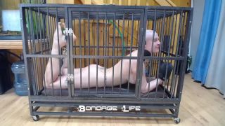 online xxx video 21 Bondage Life – Cage Time With Greyhound - bondagelife - fetish porn femdom korea-5
