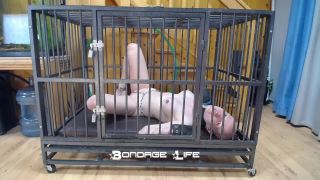 online xxx video 21 Bondage Life – Cage Time With Greyhound - bondagelife - fetish porn femdom korea-7