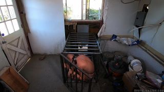 free adult clip 16 Brutal Master Greyhound: Ranch Chores (Release date: Sep. 18, 2020) BDSM, sarah vandella femdom on femdom porn -7