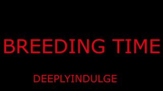 Solo Male BREEDING TIME FOR YOUR PUSSY DADDY GETS YOU PREGGO (AUDIO ROLEPLAY) BREEDING BULL-1